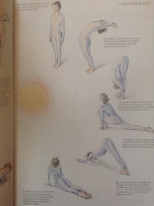 Sun salutation