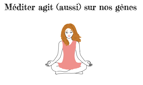 Méditation et gènes